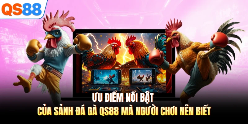 Ưu điểm nổi bật của sảnh đá gà QS88 mà người chơi nên biết